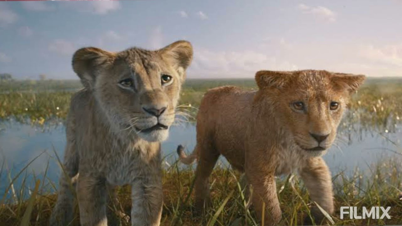 mufasa |  poderia ter sido bem mais aproveitado