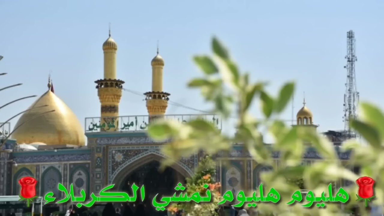 هاليوم هاليوم نمشي الكربله مبارك علينا وعليكم مولد الامام المهدي المنتظر عجل الله فرجه الشريف