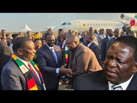 Leaked audio:Wicknell Chivhayo angers ED Mnangagwa - YouTube