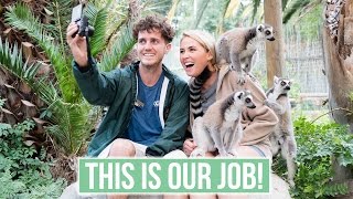 BEST JOB IN THE WORLD!! Volunteering with African Animals