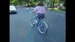 riding off into the sunset classic shwinn