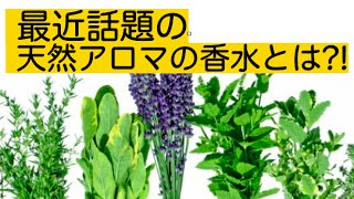 天然アロマオイルを使ったフレグランス(香水)が最近話題になってきている理由｜アロマフレグランス調律協会代表 井崎真奈美