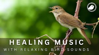 RELAXING MUSIC WITH BIRD SOUNDS  Soothing Music Helps Heal Stress, Stop Anxiety and Relax