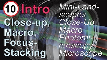 The Types of Macro Photography: Close-up, and Focus Stacking, Part 10