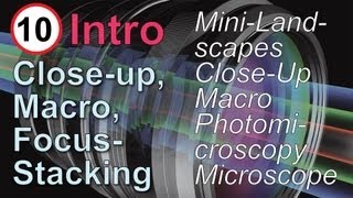 The Types of Macro Photography: Close-up, and Focus Stacking, Part 10