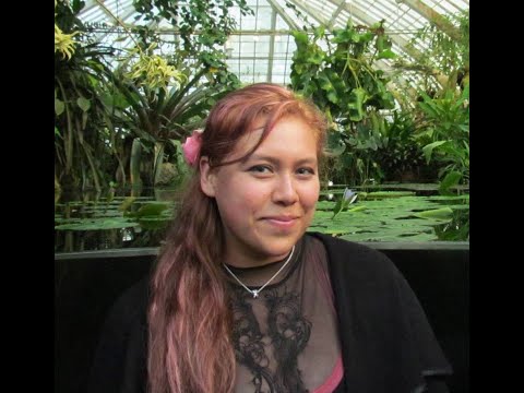فيديو: Mariposa Lily Care - معلومات حول نباتات Calochortus Lily