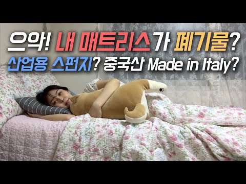 [Eng] 매일 자는 매트리스, 폐기물로 만들어졌을지도! 메모리폼 매트리스 슬라운드 Slound | 생쇼 Sangshow #119