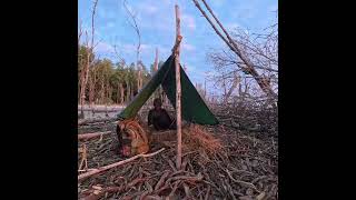 Alone on a Remote Island with My Dog 😱🏕️