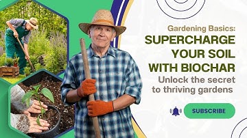 Supercharge Your Soil with Biochar: DIY Guide! #homemadefertilizer #gardening #gardeningtips