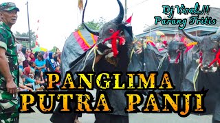 DJ Bantengan { PARANGTRITIS } Panglima Putra Panji‼️Live in Ngembal Wajak Malang