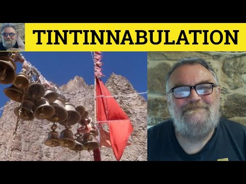 What Does Tintin Mean In English