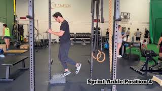 Spring Ankle Position 4