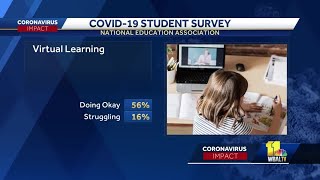 Survey explains how students cope with virtual learning