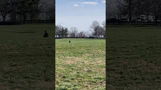 IMG 2874 1