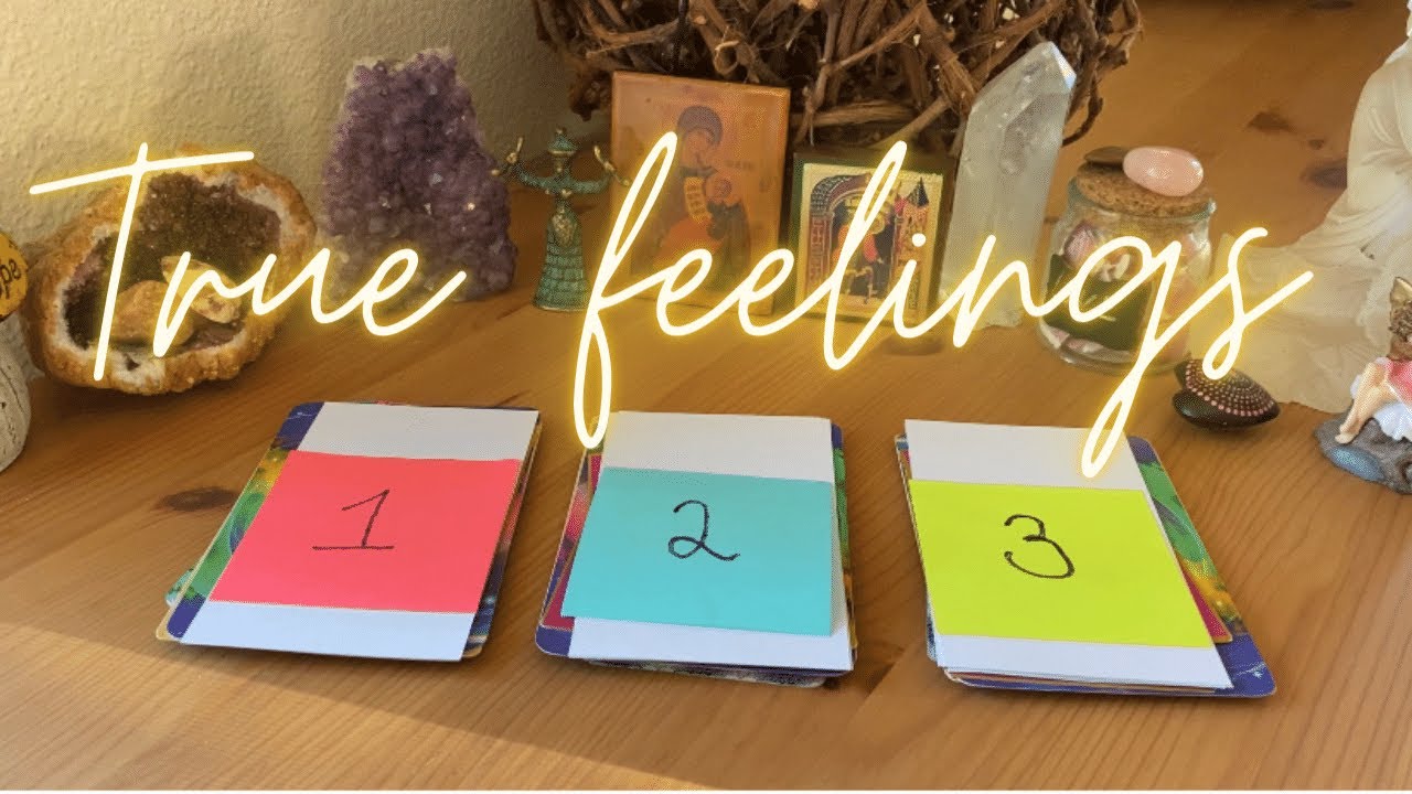 Pick a card love 💘💘 What are their deep feelings for you now? (Timeless) + Charms