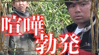 EP5 無人島で1つだけ持っていけるとしたら何を持って行きますか？