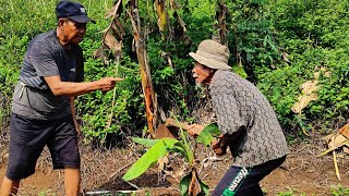 KOMEDI SUNDA PERKARA NANAM PISANG DI JALAN 
