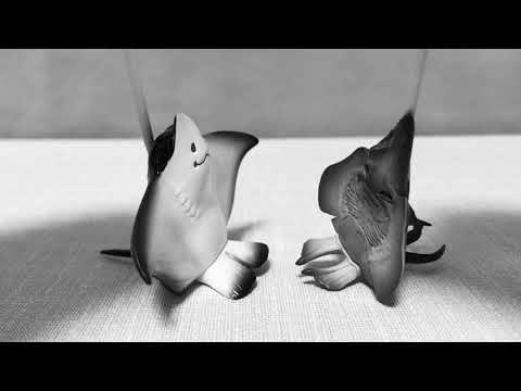 閃光少女0:48〜の真似をするエイ