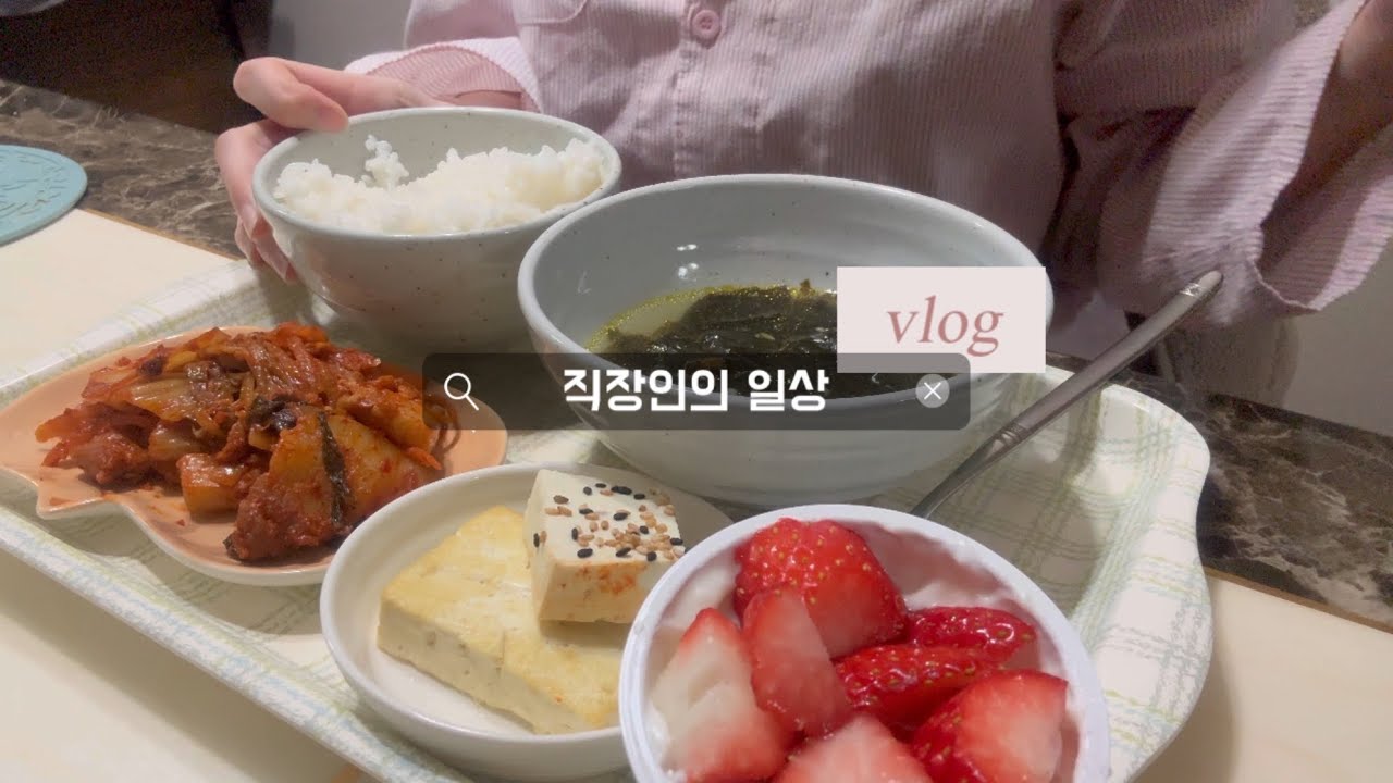 직장인 브이로그 | 망곰이 콜라보에 지갑열어 💳 다이소에서 카드긁어 🙄