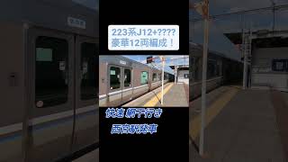 【豪華12両編成】223系J12+? ? ? 快速網干行き 西宮駅発車