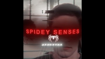 🕸️Spidey senses 🕷️