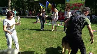 Международная выставка собак всех пород. Кишинёв, 27.05.2018
