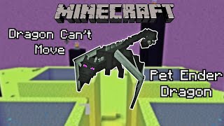 How To Trap The Ender Dragon in 100% Survival Minecraft! (Simple 1.20+Tutorial) PE,Xbox,PS,PC,Switch