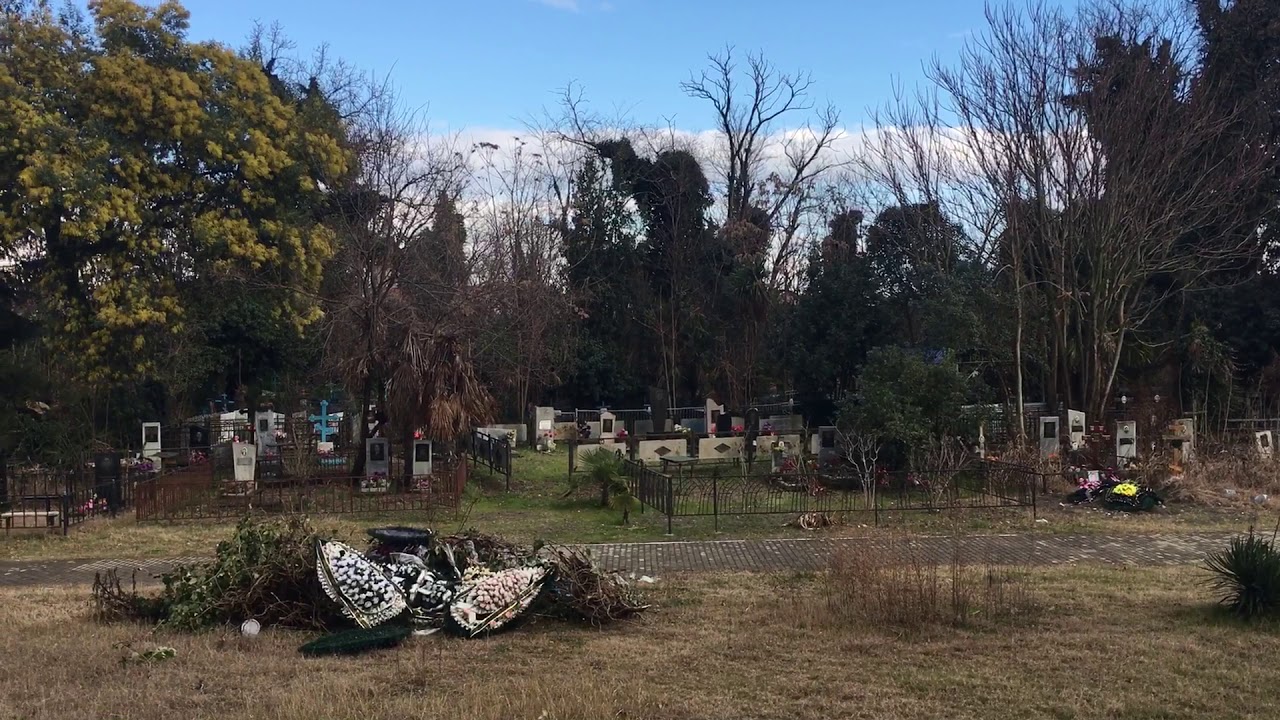 Кладбище в олимпийском парке. Старообрядческое кладбище Адлер. Кладбище староверов в Олимпийском парке Сочи. Олимпийский парк Сочи кладбище. Сочи парк кладбище.