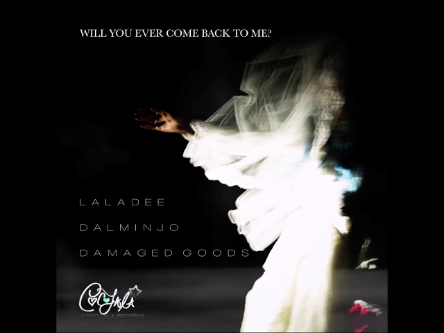 Laladee, Terrence Parker, coco street  - Will You Ever Come Back To Me (House Me Rouge Remix)