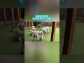 【過去のストーリーより】#愛犬#大型犬#プードル