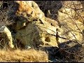 St  Victor Petroglyphs Provincial Park