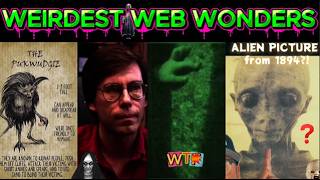 weirdest web wonders vol 330