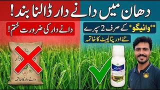 No Granular pesticides Needed in Rice!🌾 | Vayego Spray for Stem Borer & Leaf Folder Control screenshot 3