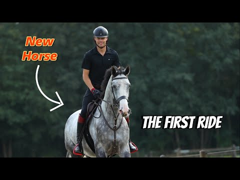 Sky’s First Ride Reveals a Promising Young Hunter with Plenty to Learn