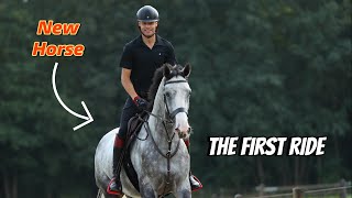 The First Ride on My NEW 4-Year-Old Hunting Horse!