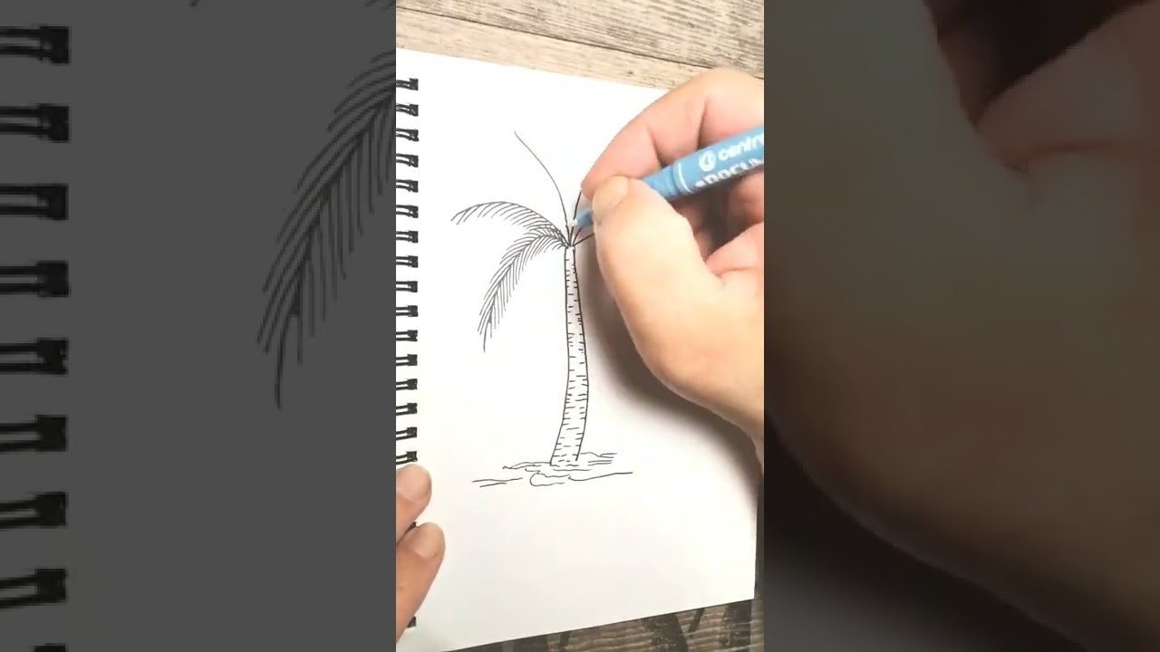 How to Draw Palm Tree | Simple Tropical Tree Drawing