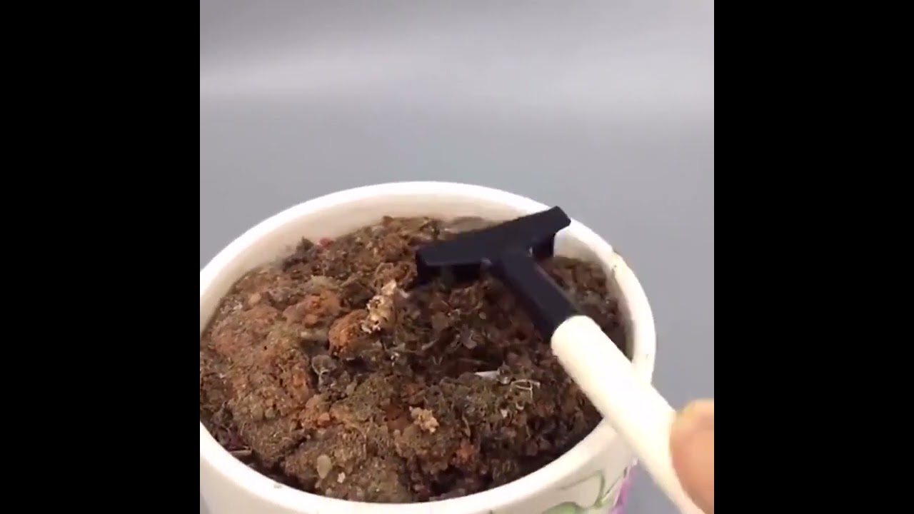 3pcs Mini Gardening Tool Wooden Handle Shovel Rake Spade Bonsai Tools