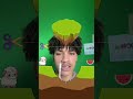 joguinho novo da ovelha 😱