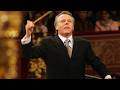 Maris Jansons / VPO - Brahms : Symphony No.1 c-moll Op.68 (2005 - Live)