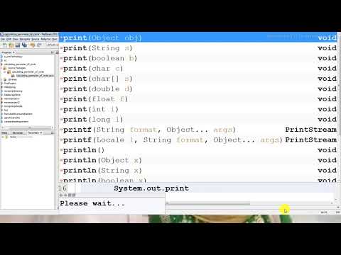 Perimeter of Square  in Java