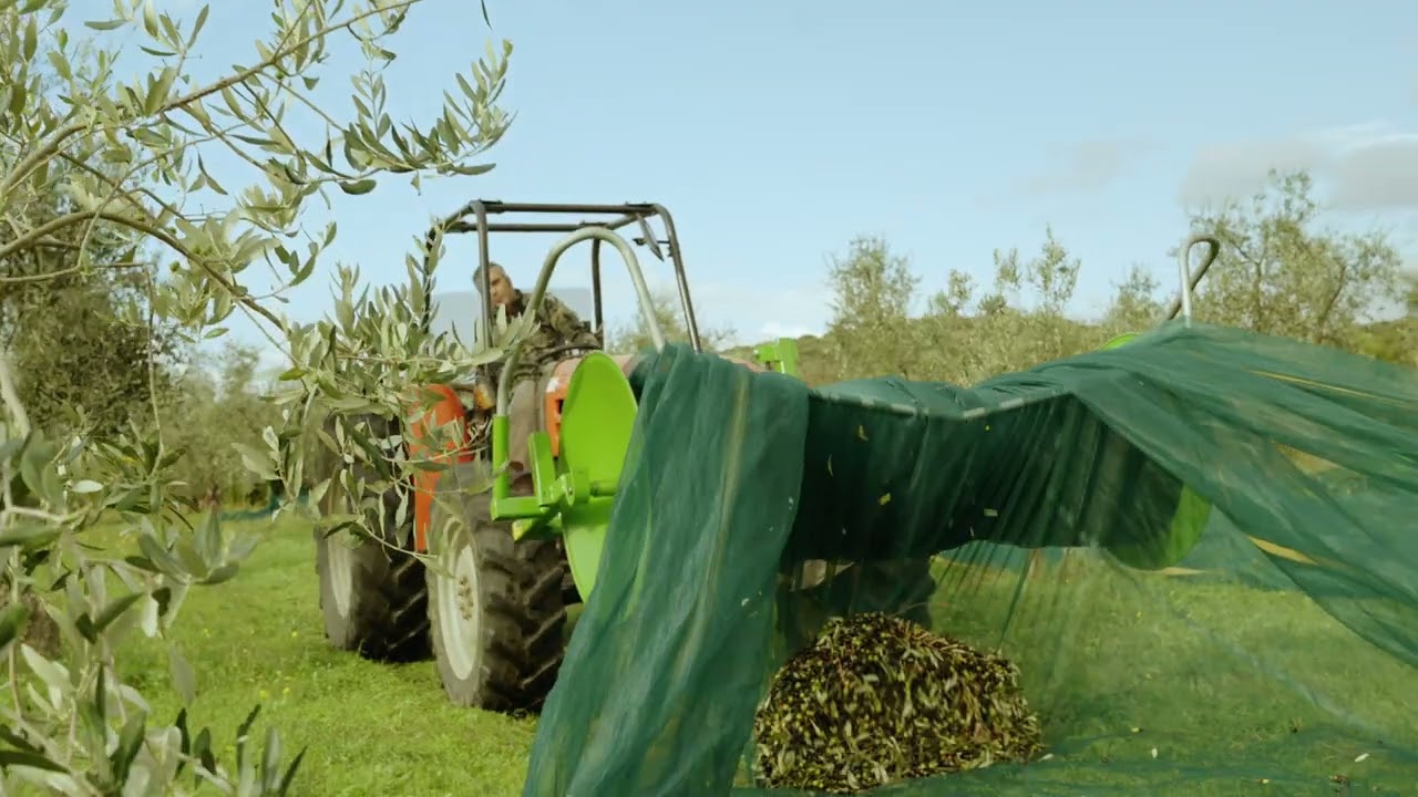 Sera Meoni - Video promo raccolta olive