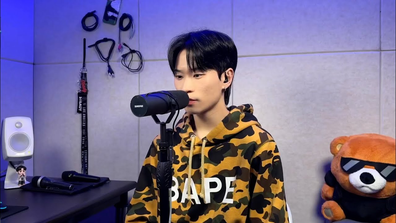 STEADY - Waves (GBB25 Wildcard Remastered)