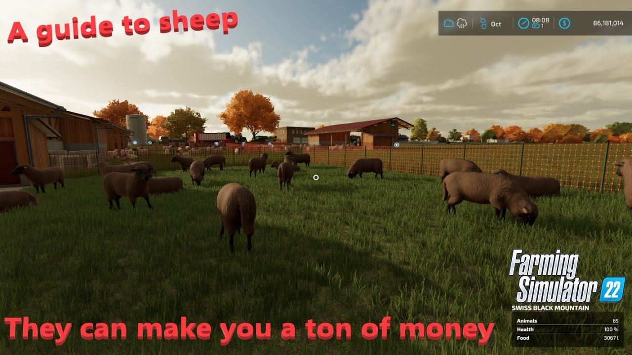 Baa-Baa Black Sheep - A how to guide to sheep.  The game's new Cash Cow?