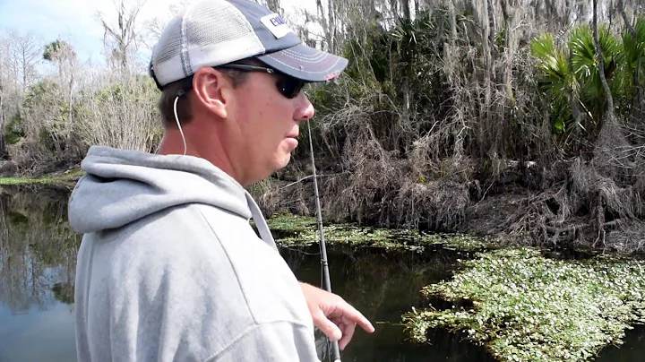 Bed Fishing and Sight Fishing Tips