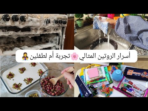 روتيني المثالي تخطيط تنظيف طبخ أمومة تحضيرات التأسيس لأبني في البيت KG1 حلى ليالي لبنان روتيني المثالي تخطيط تنظيف طبخ أمومة تحضيرات التأسيس لأبني في البيت KG1 حلى ليالي لبنان