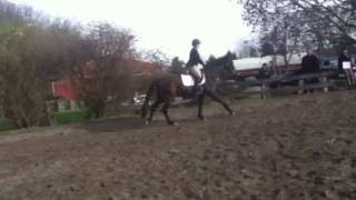 Zone 3 IEA Warm-Up Open O/F LB