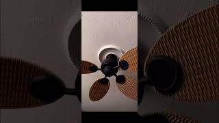 Ceiling fan fail #ceilingfan #ceilingfanfails #shorts