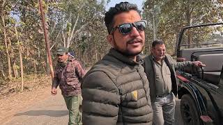 Without alarm call tiger sighting in jhirna zone safari with yuvraj #yuvraj #tiger #jimcorbett