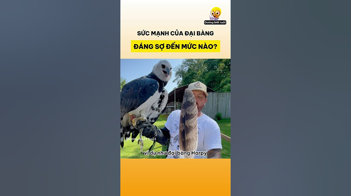 Sức mạnh của đại bàng đáng sợ đến mức nào?