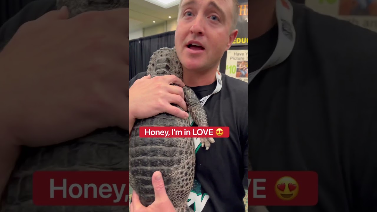 Hugging The World’s RAREST Alligator!!! 🤗🐊 